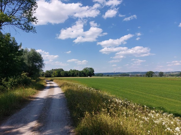 Ländlicher Weg bei Hospiz Polling, grüne Wiese, blauer Himmel.