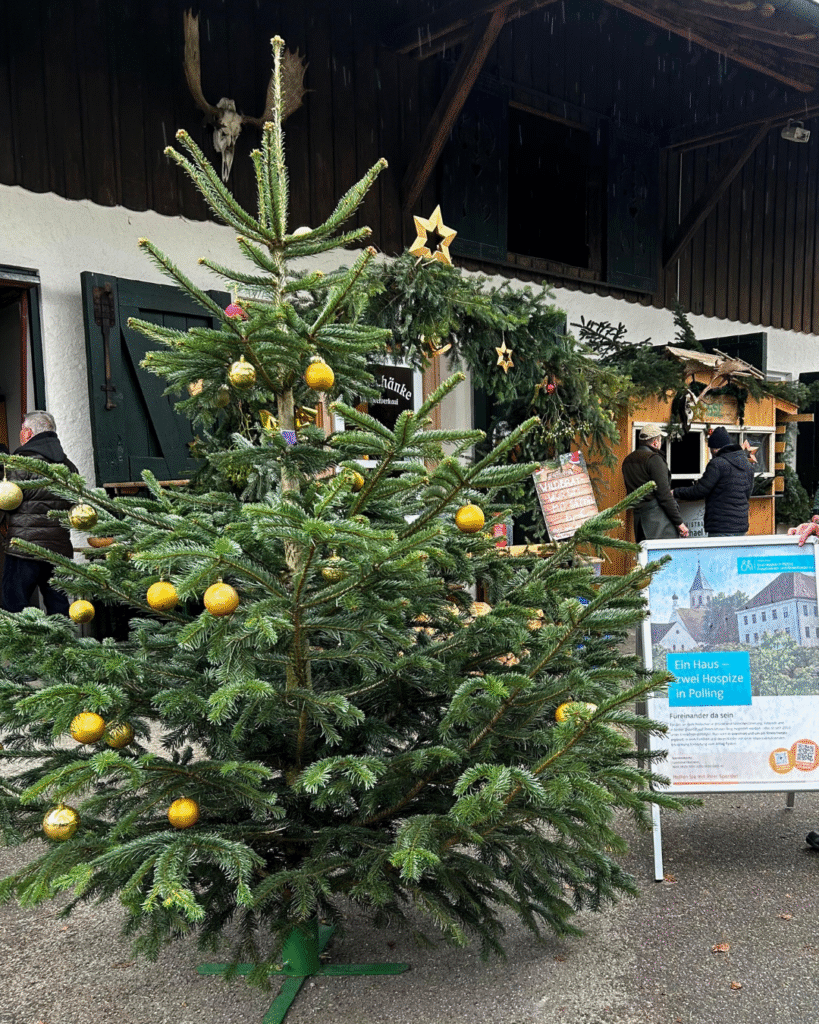 Hospiz Polling - Hospizverein Pfaffenwinkel: Weihnachtsbaum und festlich geschmücktes Gebäude, Menschen an Informationstafel.