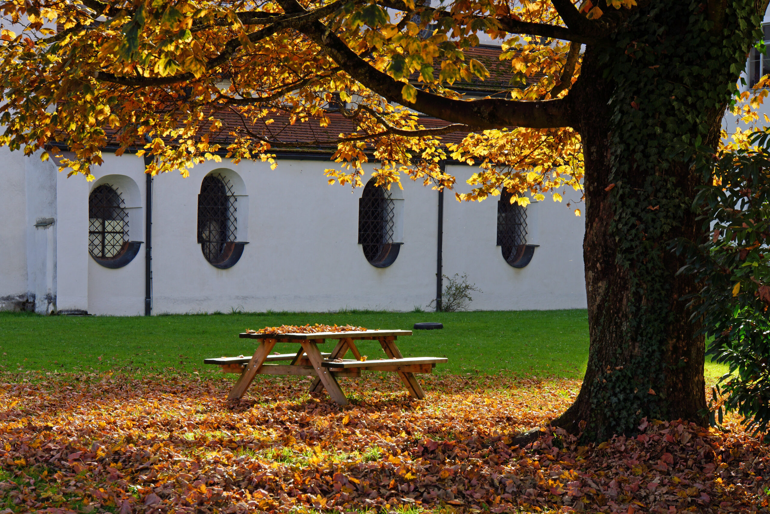 Picknicktisch unter Baum, Hospiz Polling - Hospizverein Pfaffenwinkel.