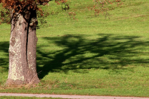 Hospiz Polling - Hospizverein Pfaffenwinkel: Bank unter Baum am Feldweg.