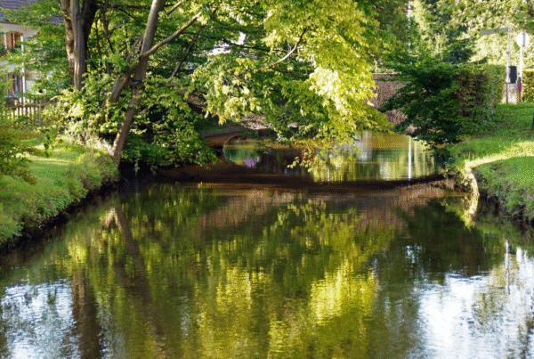 Hospiz Polling - Hospizverein Pfaffenwinkel: Ruhiger Fluss unter grünem Baum.
